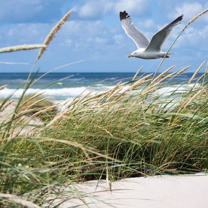 moeve-meer-web
