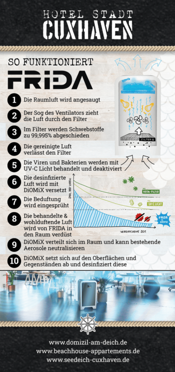 frida-flyer-2